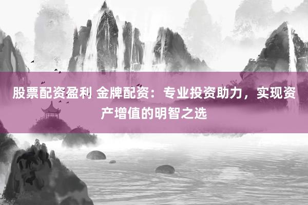 股票配资盈利 金牌配资:专业投资助力,实现资产增值的明智之选
