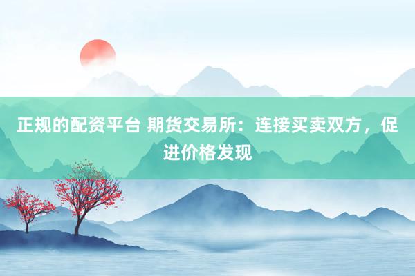 正规的配资平台 期货交易所：连接买卖双方，促进价格发现