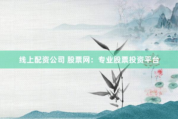 线上配资公司 股票网：专业股票投资平台