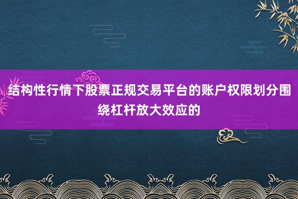 结构性行情下股票正规交易平台的账户权限划分围绕杠杆放大效应的