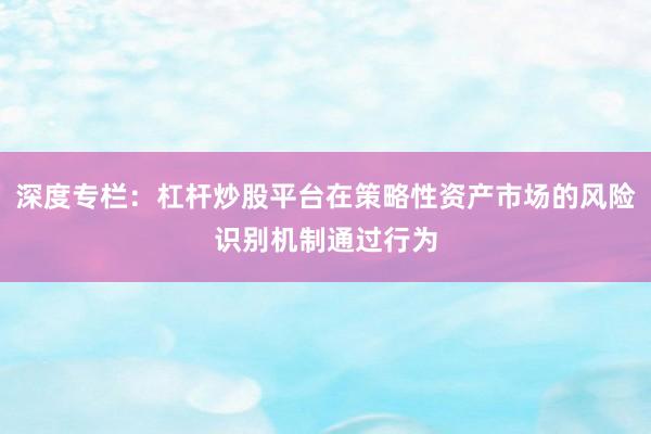 深度专栏：杠杆炒股平台在策略性资产市场的风险识别机制通过行为