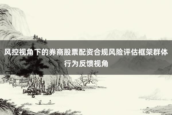 风控视角下的券商股票配资合规风险评估框架群体行为反馈视角