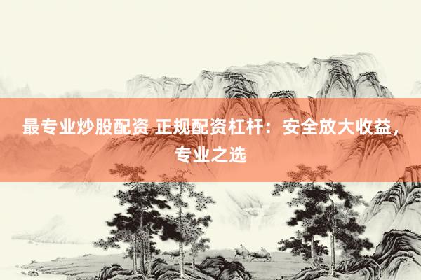 最专业炒股配资 正规配资杠杆：安全放大收益，专业之选